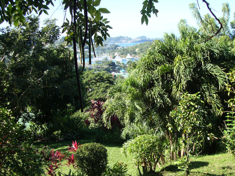 Grenada yacht charter Hyde Park Gardens