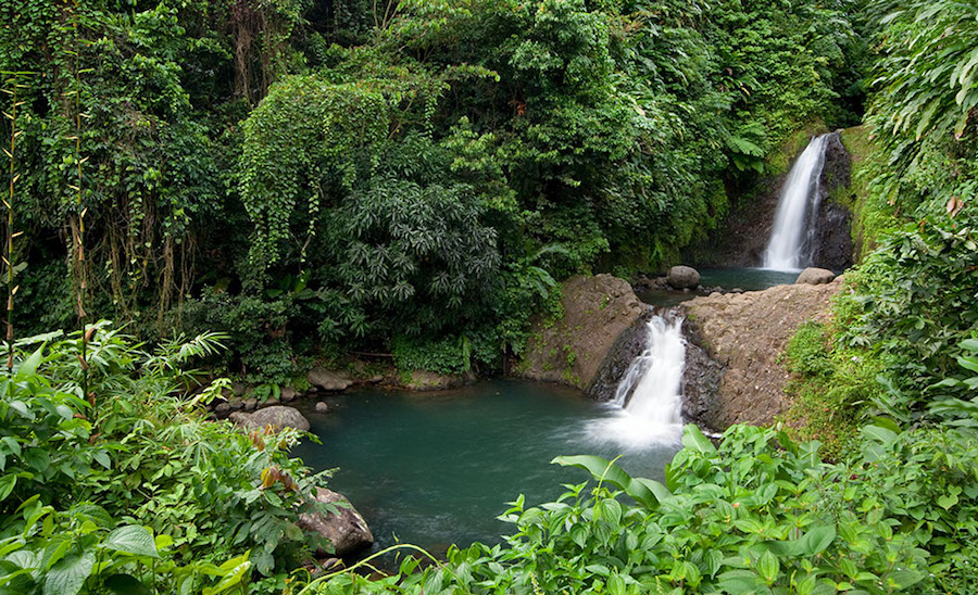 Grenada yacht charter, The Seven Sisters Falls.