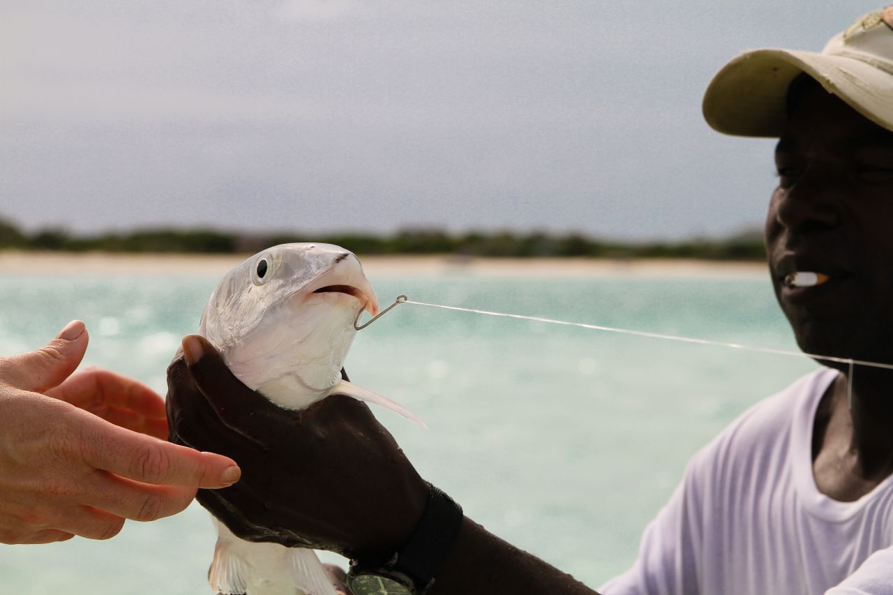 Staniel Cay