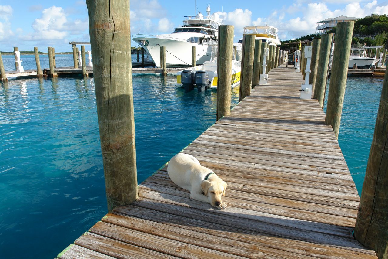 Staniel Cay