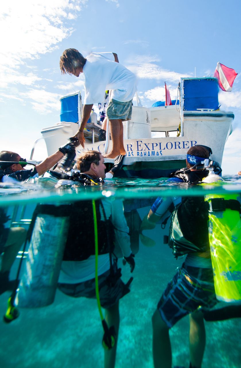 How to Charter a Yacht - scuba diving