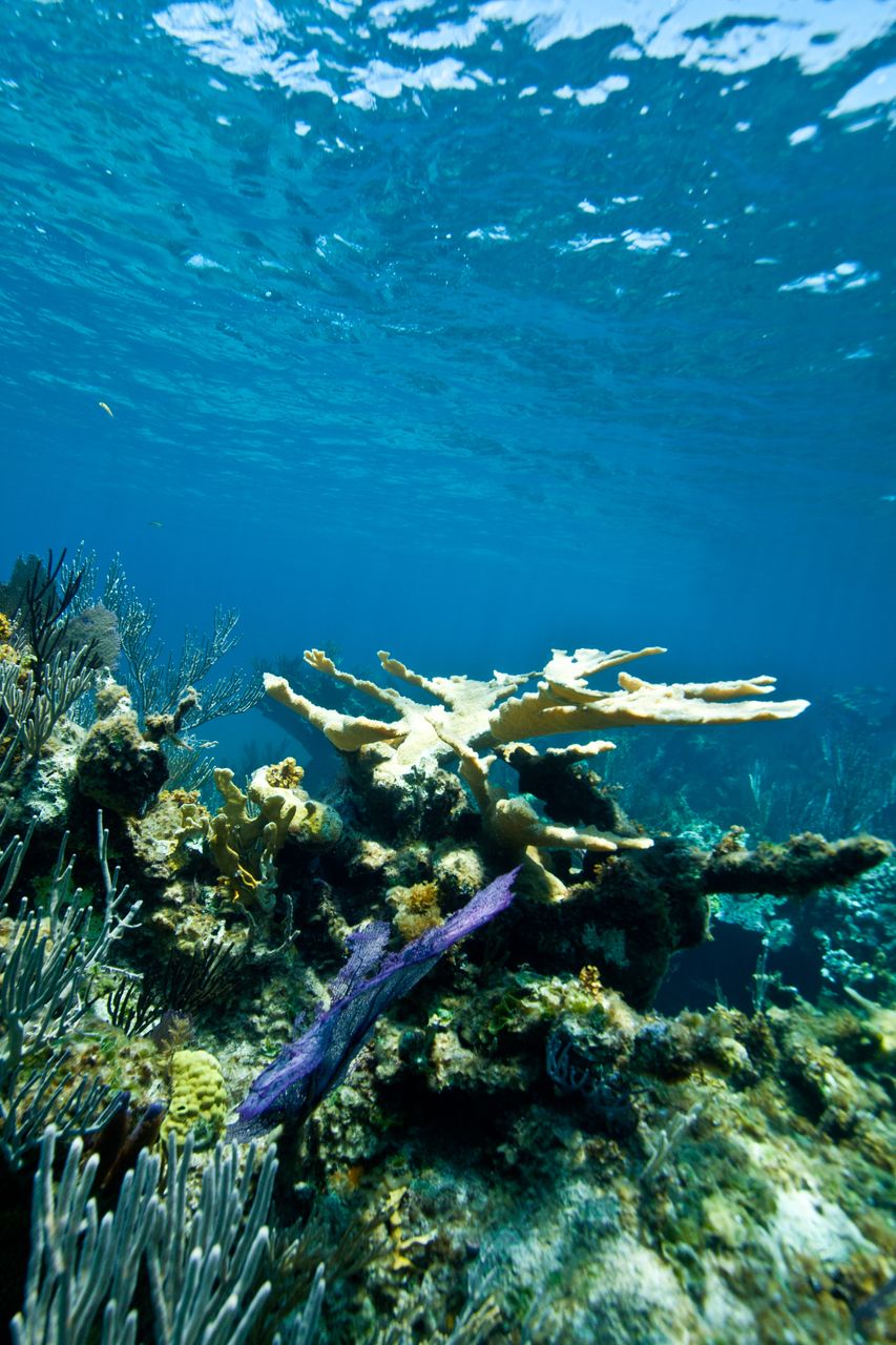 Staniel Cay