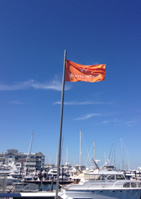 flag