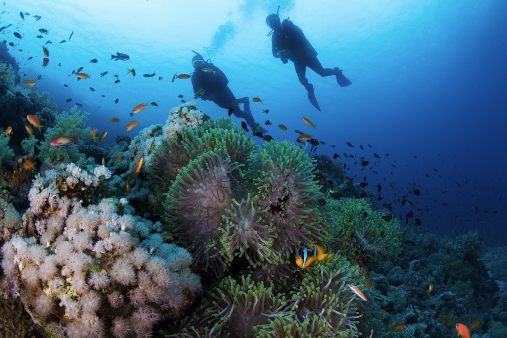 Top 10 Sites to go Diving in the Mediterranean