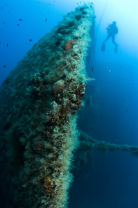 Mediterranean Diving MS Zenobia Cyprus