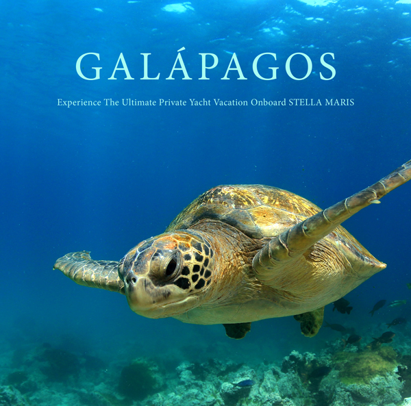 Luxury Yacht Charter Galapagos 8 days