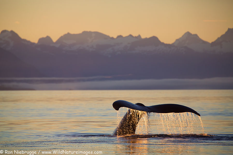 Alaska yacht charter