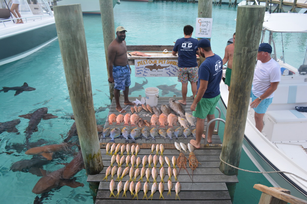 Compass Cay