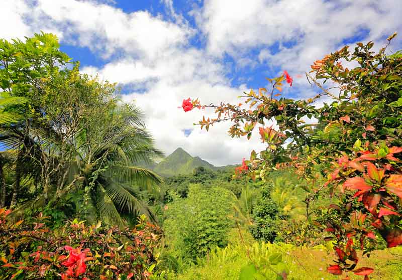 Luxury Yacht Charter St. Maarten to St. Lucia