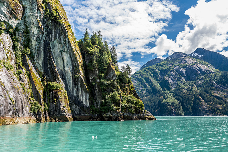 Alaska-Yacht-charter-in-Tracy-Arms- Alaskan Yacht Charter
