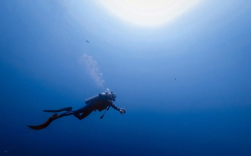 Sunshine Coast, British Columbia Diving