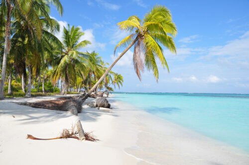 The most beautiful lonely beach in San Blas island, Panama. Central America.
