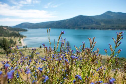 Columbia River Yacht Charter Experience
