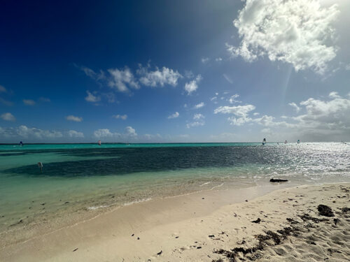 The Best of Bonaire Beach with Windsurfer