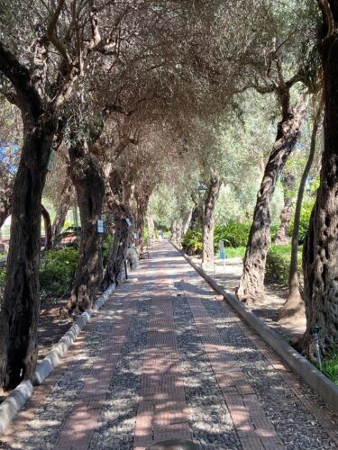 Torminia, Sicily