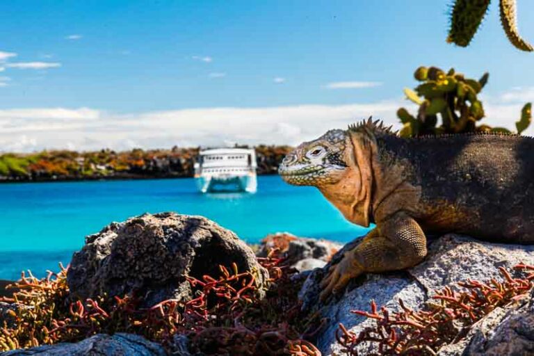 Galápagos Islands Yacht Charter Itinerary