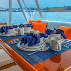 Aft deck of CHECKED OUT, a 65' Pacific Mariner yacht for charter in the Pacific Northwest.