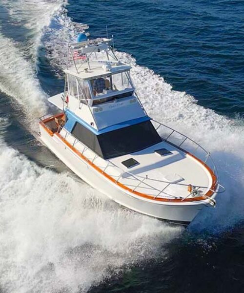 000 SCOUT 42 Chris Craft NEW Profile