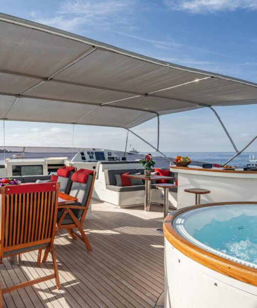 VIKING III Sundeck VIKING III Sundeck