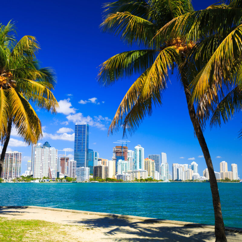 Worth Avenue Yachts area guides