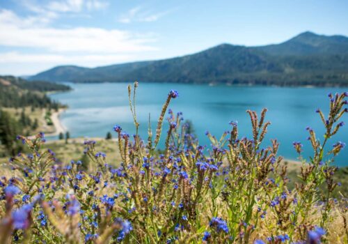 Columbia River Yacht Charter Experience