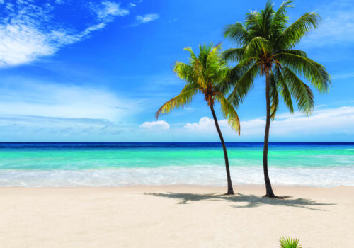 Tropical white sand beach with coco palms and the turquoise sea