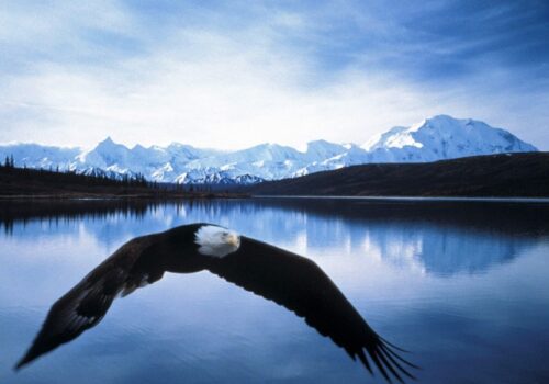 Alaska Yacht Charter