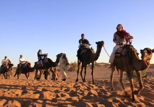 CAMELS INTHE DESERT-class-afloat