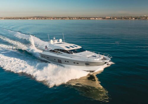 KOINONIA 78' PRINCESS running Profile