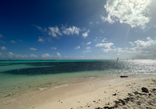 The Best of Bonaire Beach with Windsurfer