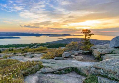 Coastal Maine Yacht Charter
