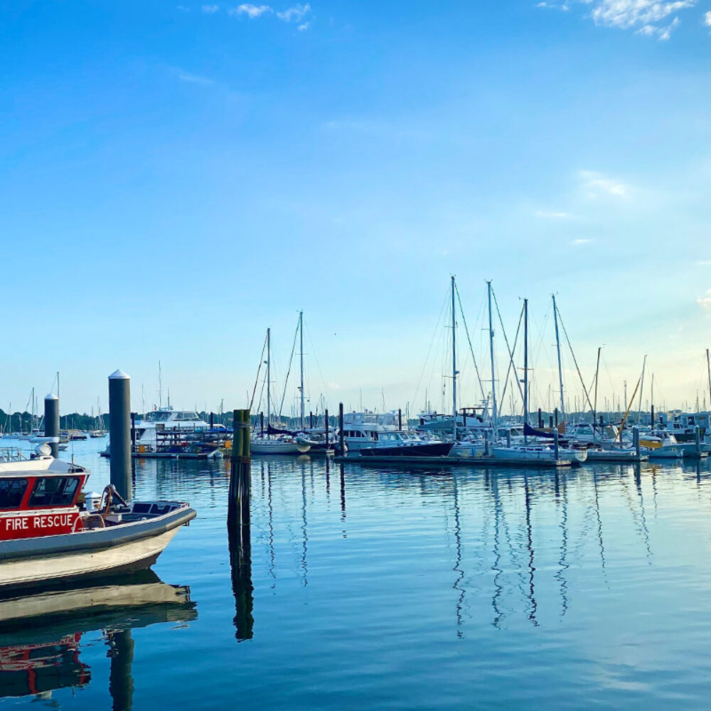 Newport Yacht Ckub