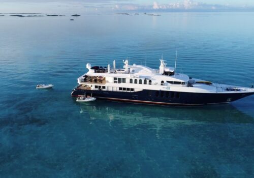 Profile 164' Oceanfast Motor Yacht SHE'S A 10