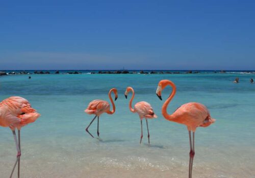 ABC Islands Yacht Charter