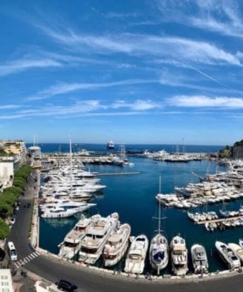 Monaco Office view of Monaco Marina