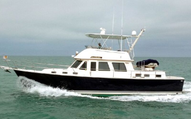 shell belle profile