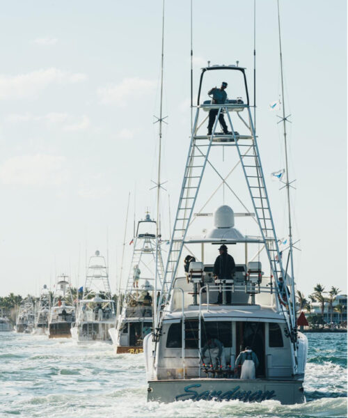 sportfish_tournament