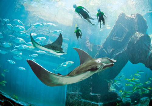 Ruin diving on a yacht charter itinerary in the Bahamas