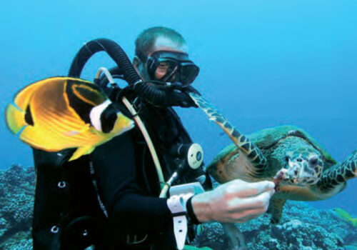 yacht-charter-southpacific